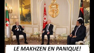 Le Makhzen  Et Mesmar  En Panique NA Plus Que LInslte Et Les Provocations Contre LAlgérie [upl. by Betthezel727]