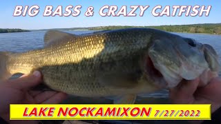 Nockamixon Big Bass and Crazy Catfish on July 22nd 2022 [upl. by Anytsirk]