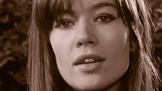 FRANCOISE HARDY  Lamitié remix 2011  2023 [upl. by Wilt]