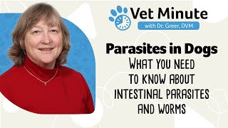 Intestinal Parasites in Dogs Webinar Heartworm Tapeworm Coccidia and other Internal Parasites [upl. by Danaher]