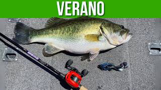 Usa estos TIPS para PESCAR MÁS EN VERANO  BASS X TIPS [upl. by Ikcir94]