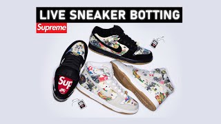 🔴 LIVE COP  Botting the Supreme Nike SB Dunk High Low Rammellzee [upl. by Bertold725]