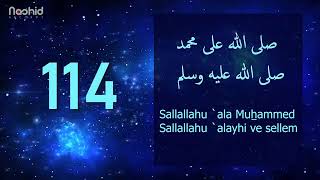 1000 Salavat  SALLALLAHU ALA MUHAMMED SALLALLAHU ALAYHI VE SELLEM [upl. by Ardnaek]