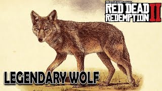 How to Kill The Legendary Wolf in Cotorra Springs  Red Dead Redemption 2 [upl. by Creight]