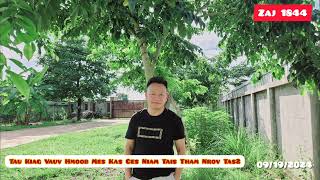 Tau Kiag Vauv Hmoob Mes Kas Ces Niam Tais Tham Nrov Tas2 09192024 [upl. by Marigold]