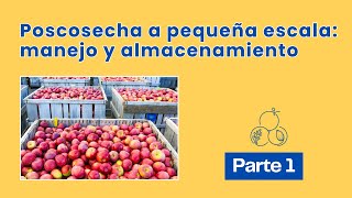 Reflexión Lo que se siembra se cosecha  3 Historias Financieras [upl. by Eiralih]