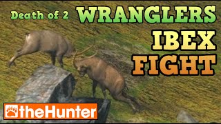 IBEX FIGHT  theHunter Classic [upl. by Allveta458]