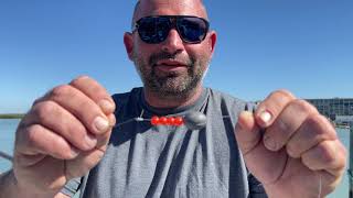 How to Catch Hogfish and what rig to use  Hubbards Marina  wwwHubbardsMarinacom [upl. by Nivram]