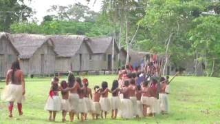 Origens  Aldeia Indigena Yawanawa [upl. by Binni]