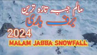 Malam Jabba Snowfall update 2024 Buraf Bari Swat Kalam MalamJabba SwatkalamSnowfall latestvideo [upl. by Given]