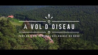 Le parc naturel régional des Vosges du Nord à vol doiseau [upl. by Fifine]