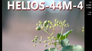 Helios44M4 Soviet Union with dreamy bokeh  review amp flickr images 4K [upl. by Rehctaht889]