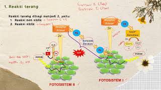 Metabolisme Bagian 3  Anabolisme  Materi Biologi Kelas 12 [upl. by Alimaj165]