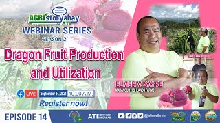 Agristoryahay sa ATI Episode 14  Dragon Fruit Production and Utilization [upl. by Egan]