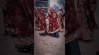 Shekhawati dance trending shortvideo [upl. by Ahsiyk]