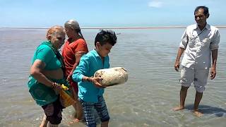 Floating Stone  रामसेतु का पानी मे तैरता हुआ पत्थर [upl. by Lyon]