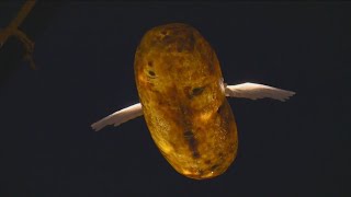 Watch the Potato Drop live on KTVB [upl. by Dayna474]