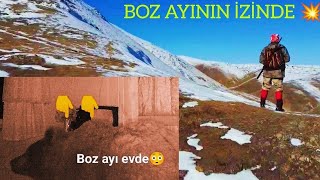 Boz Ayının peşinde  Onlarca evi parçaladı ve yakalandı [upl. by Sturdivant]