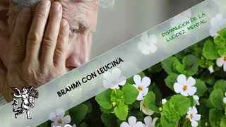 ¿Te DISTRAES fácilmente BRAHMI CON LEUCINA para la LUCIDEZ MENTAL [upl. by Friedberg]