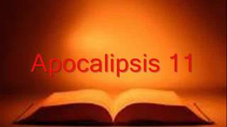 APOCALIPSIS completo Biblia hablada RV 1960 [upl. by Anais]