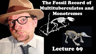 Lecture 69 The Fossil Record of Multituberculates and Monotremes [upl. by Ferdinana]