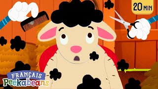 Baa baa mouton bleu   20 min  Comptines et mélodies pour enfants  Peekabeans en français ♫ [upl. by Wymore]