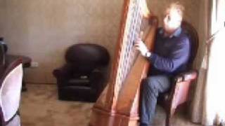 Big Classic 40 string Harp by Denwar Harps [upl. by Okikuy]