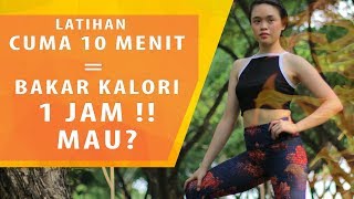 HIIT cardio  olahraga bakar lemak di seluruh tubuh 10 MENIT [upl. by Mingche]