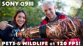 Sony a9 III Review ULTIMATE Wildlife amp Pet Camera [upl. by Mosby]