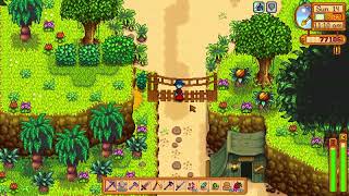 How to get Golden Walnuts above Green Tent on Ginger Island  Stardew Valley 15 [upl. by Ruggiero]