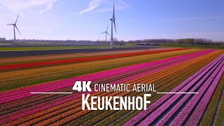 Garden of the world Keukenhof Tulip Gardens in HD Millions of Tulips [upl. by Adiazteb]