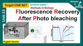 Fluorescence Recovery After Photo bleaching  FRAP CSIR unit 13  application and principle of FRAP [upl. by Ressan]