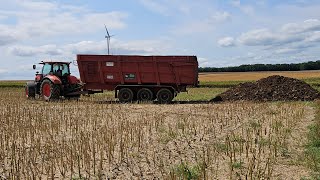 Épandage de fumier de cochons avec le kubota 🇨🇵🐖🚜 [upl. by Ttessil531]