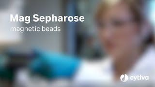 Mag Sepharose™ magnetic beads Overview and demo [upl. by Olegnaid180]