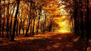 Strahlender HerbstSonnenuntergang – Gimp 29 [upl. by Ahsatsan]