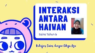 Sains Tahun 6  Interaksi Antara Haiwan [upl. by Gnoc]