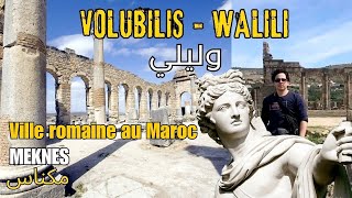 Volubilis ou Walili  Une Ville Romaine au Maroc [upl. by Alexandre980]