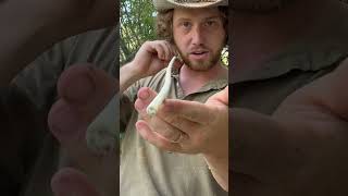 Skipping Arrow for Duck Hunting survival archery outdoors camping nature bushcraft primitive [upl. by Hteazile]