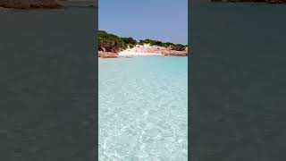 Più bella cosa non cè  Spiaggia Rosa di Budelli  4K  Sardegna World [upl. by Idelia]