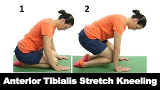 Anterior Tibialis Stretch Kneeling  Ask Doctor Jo [upl. by Kilmarx]