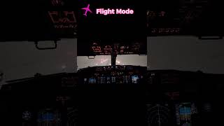 Dangerous Landing ✈ Cockpit View  short 2 [upl. by Helaine950]