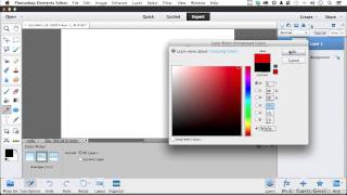 Photoshop Elements 12 Tutorial  The Basics Of Brushes [upl. by Nam]