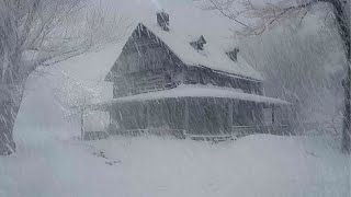 Lonely Mountain House During a Snowstorm  Snow storm sounds while sleeping  Howling wind [upl. by Abbotsun]