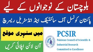 How to apply PCSIR jobs in Balochistan 2024  PCSIR scientific officer jobs in Quetta and Gawadar [upl. by Hinkel]