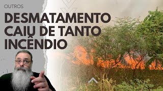 MÍDIA ignora QUEIMADA RECORDE na AMAZÔNIA e foca em NÚMERO PRELIMINAR sem SENTIDO pra AJUDAR LULA [upl. by Tades612]