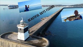 stunning day out of Holyhead breakwater  uk sea fishing with happy hooker [upl. by Audrie357]