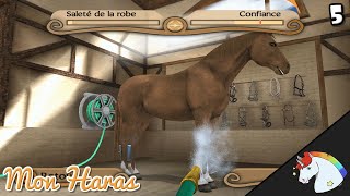 JAI ACHETÉ UN NOUVEAU CHEVAL  🐴  MON HARAS [upl. by Erodavlas514]