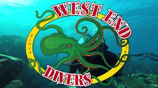 Diving in Roatan with West End Divers [upl. by Eciryt]