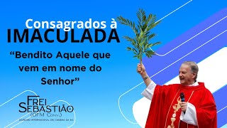 quotBendito Aquele que vem em nome do Senhorquot  Frei Sebastião Benito Quaglio [upl. by Ruhtra]