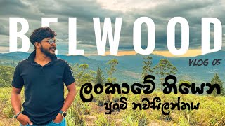 පුංචි නවසීලන්තය । Belwood Sri lanka 🇱🇰 । Vlog 05 [upl. by Anas]